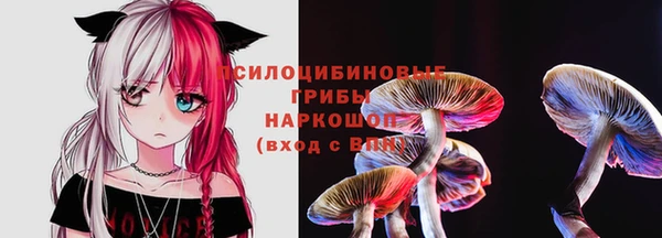 спиды Волоколамск