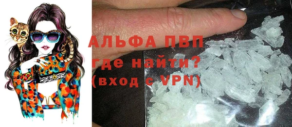 спиды Волоколамск