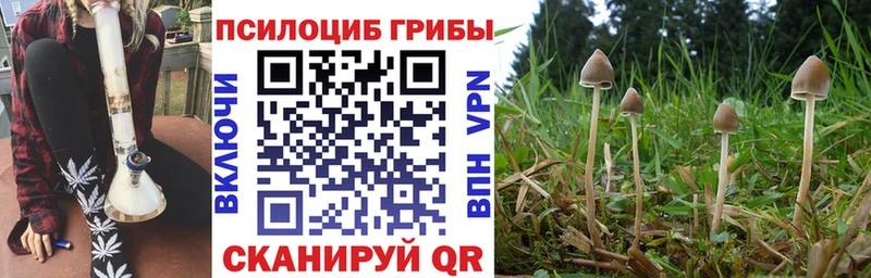 hydra tor  Назарово  Галлюциногенные грибы ЛСД 