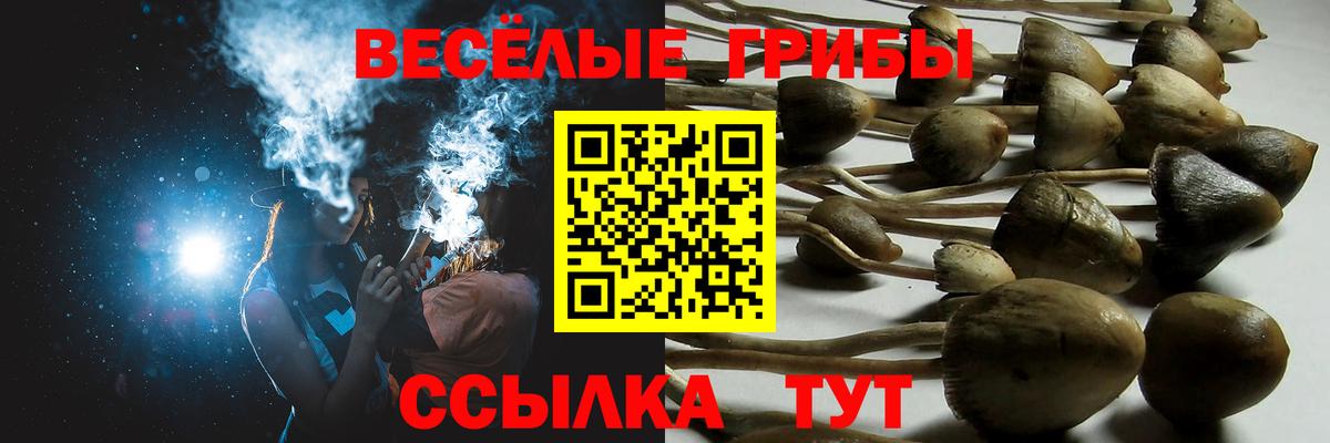 Псилоцибиновые грибы прущие грибы Назарово